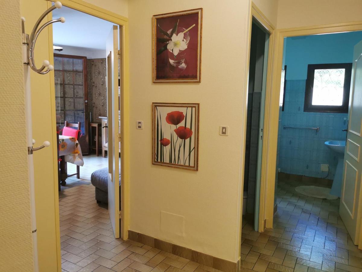 F2 de 45 m2 avec jardin au rdc dans villa chiens OK à 5 min à pied des Thermes de Vernet-les-Bains, location de samedi à samedi Esterno foto